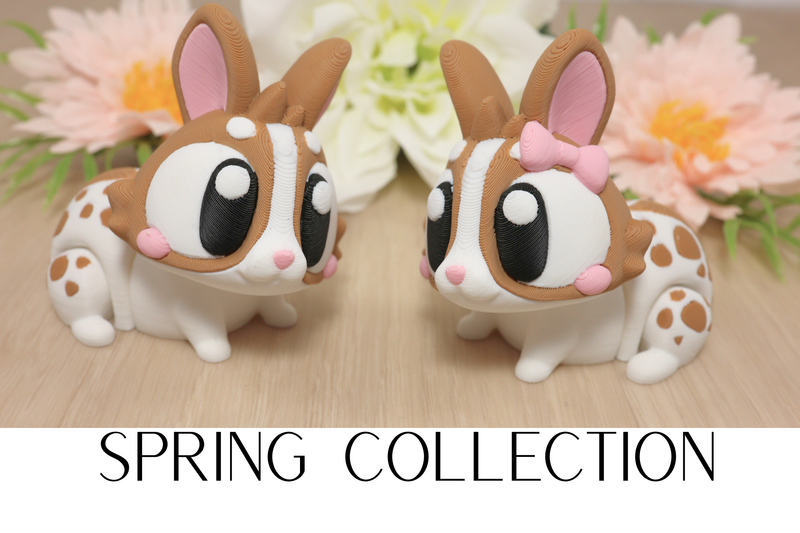 Spring Collection