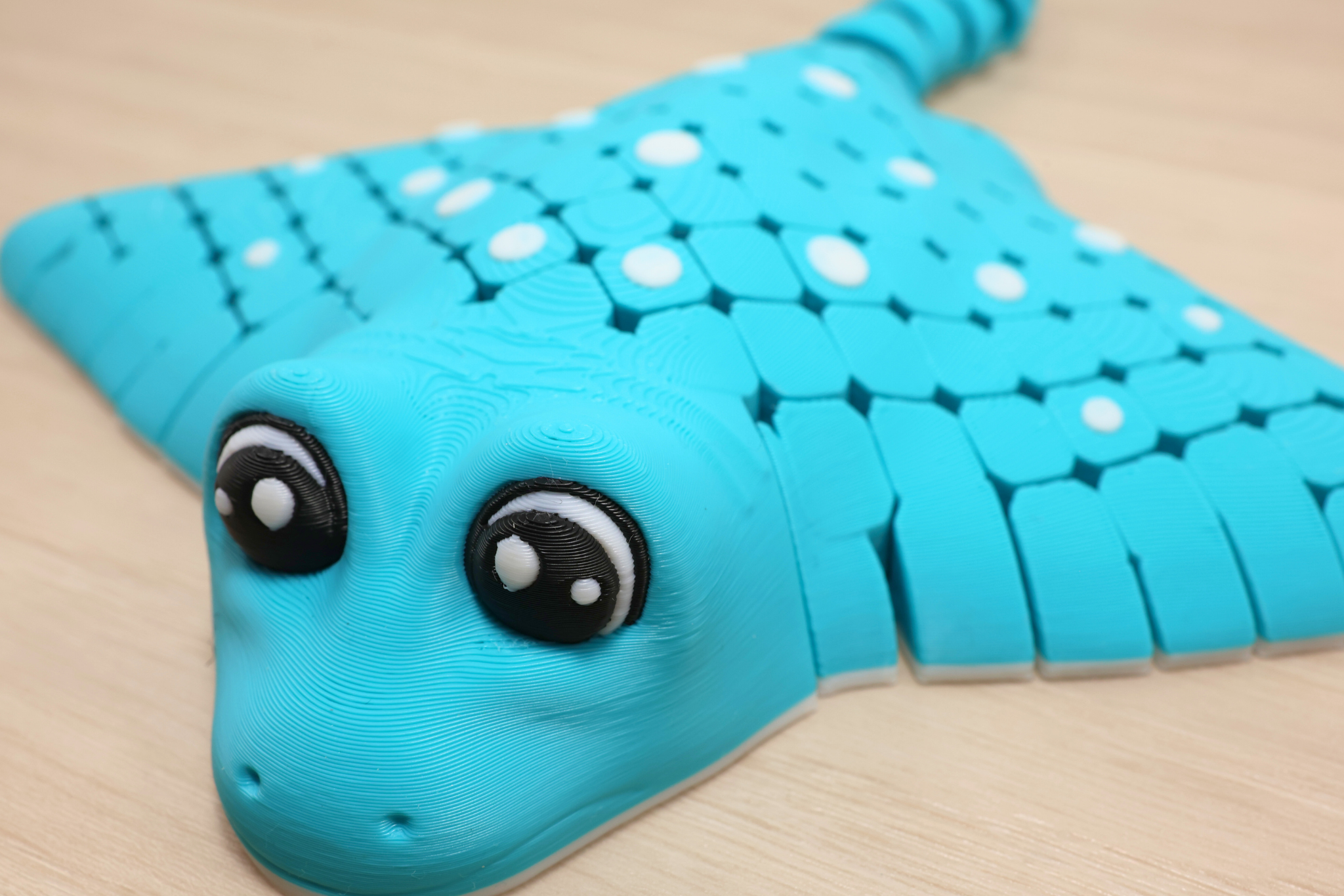 3D Printed Stingray Flexi Fidget Toy